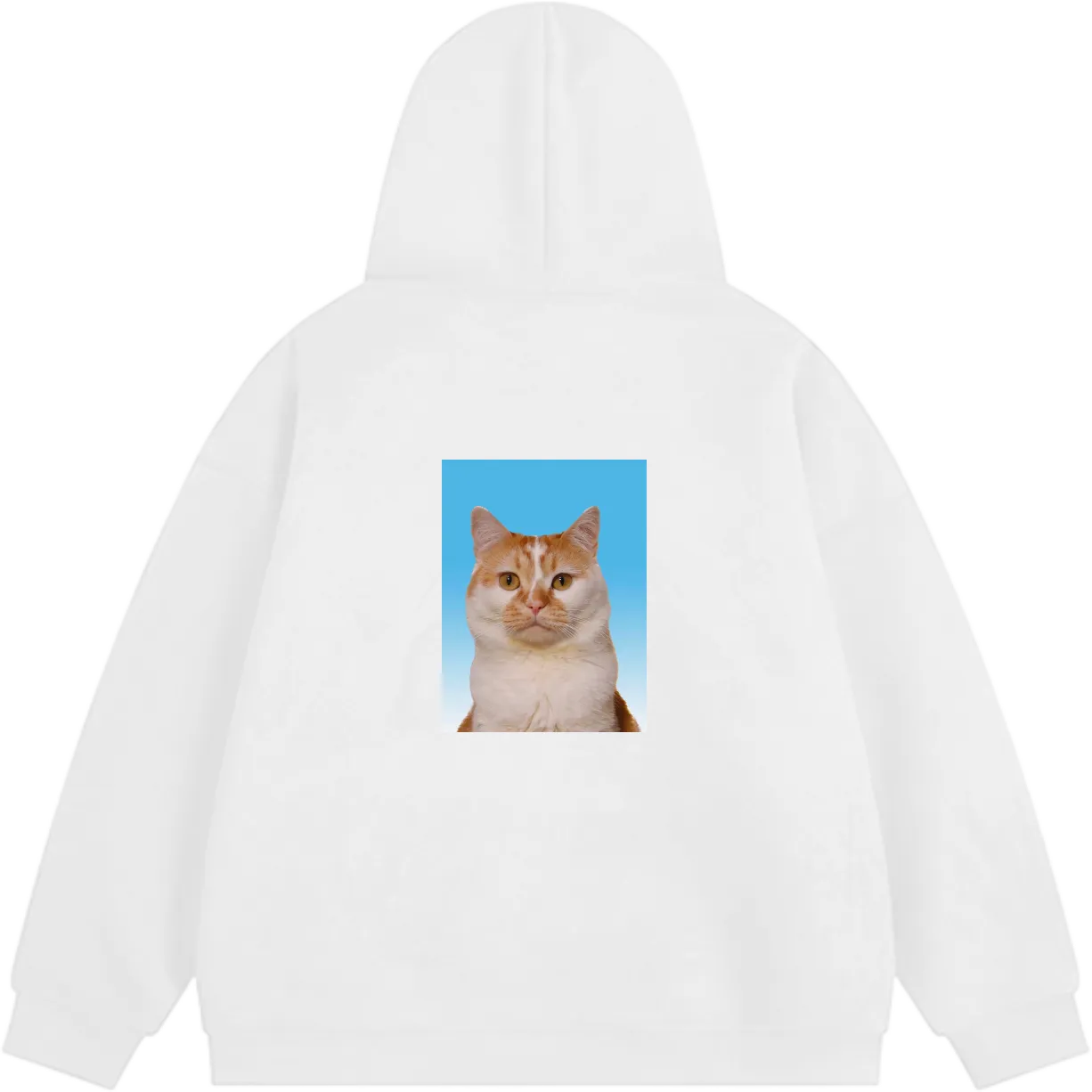 06717b43-3843-4b1c-b0f6-b7f8c84a14db.png?x-oss-process=image/format,webp